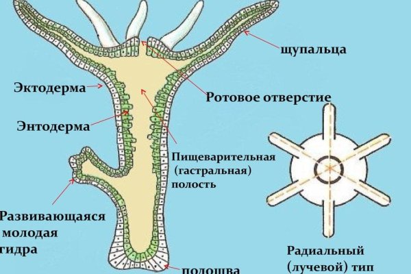 Кракен клир ссылка