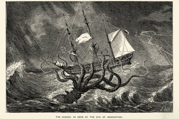 Kraken dark